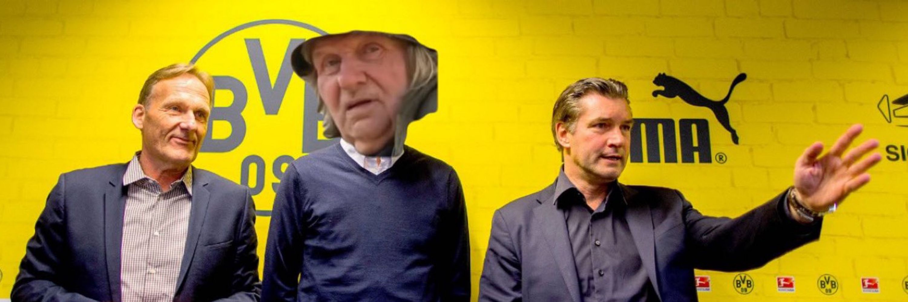 hauer bermann