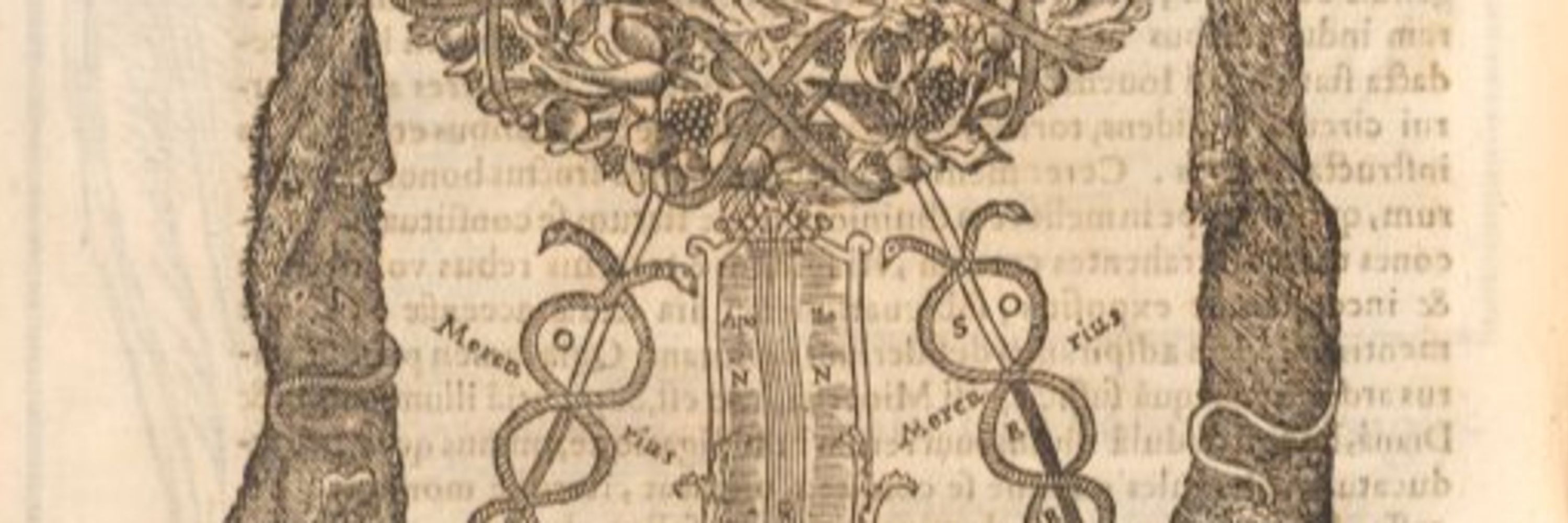 Sacerdos Vagans