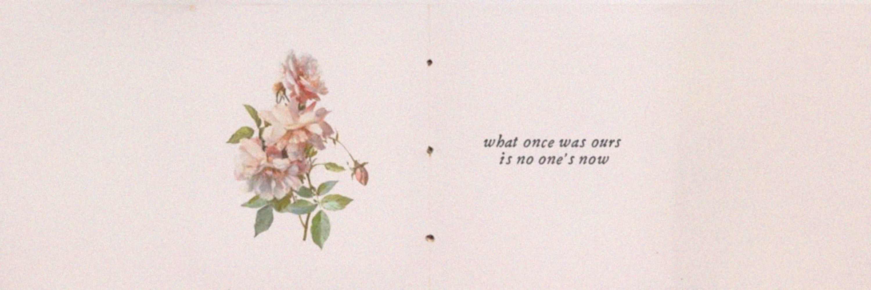 muse by jimin