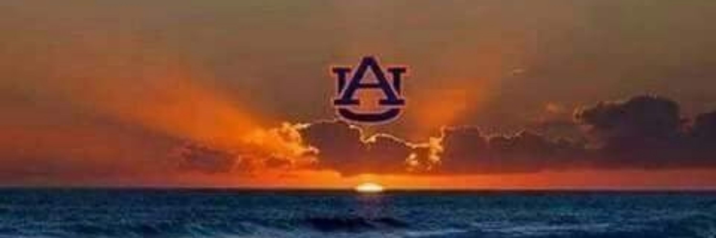 Auburn Earper 🏳️‍🌈🏳️‍⚧️💙🐅🦅🧡