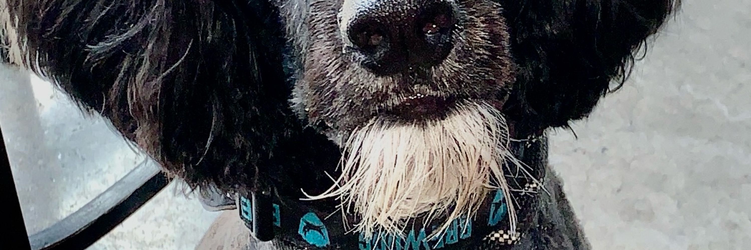 Jim