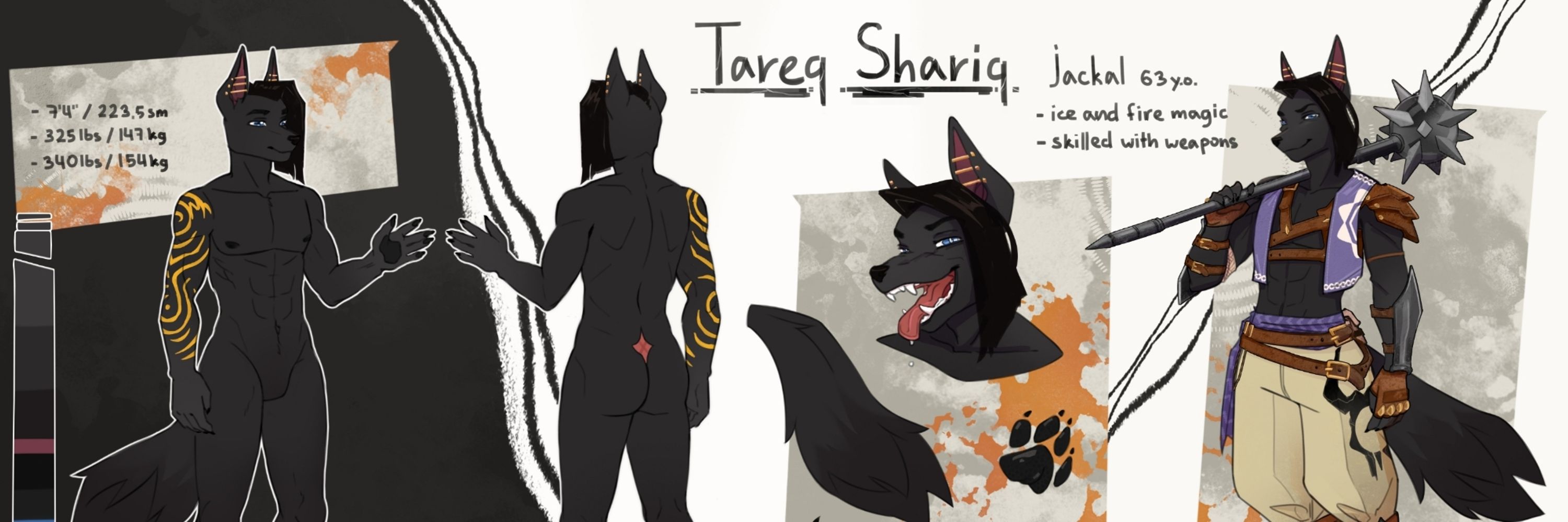 Tareq Shariq(Multimuse)