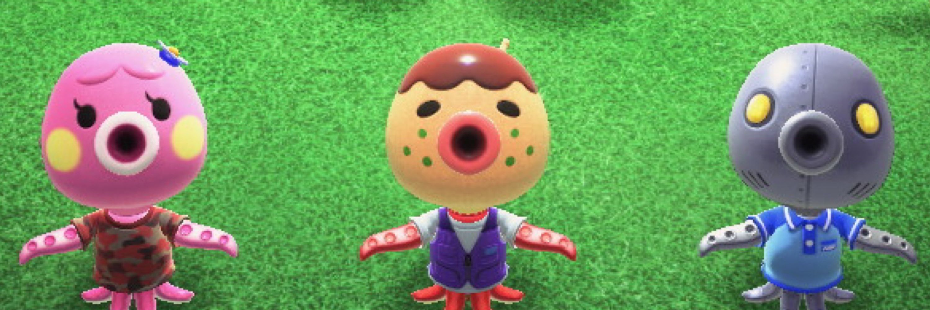 ポチ pochi