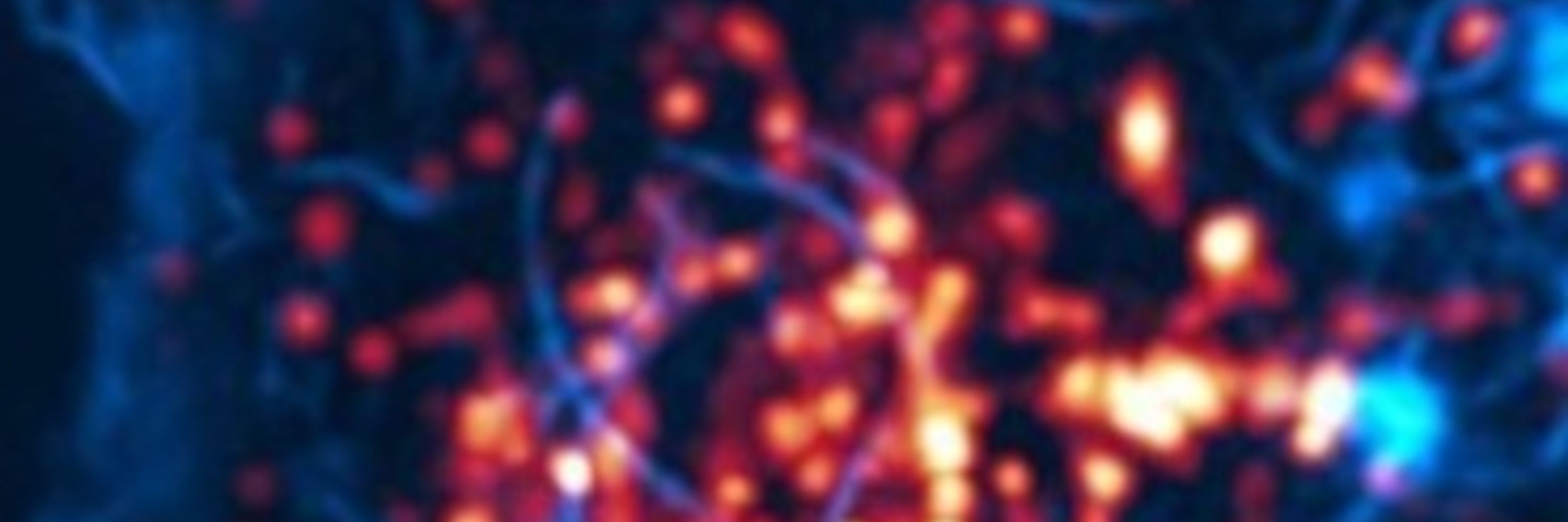 IGC Advanced Imaging Resource
