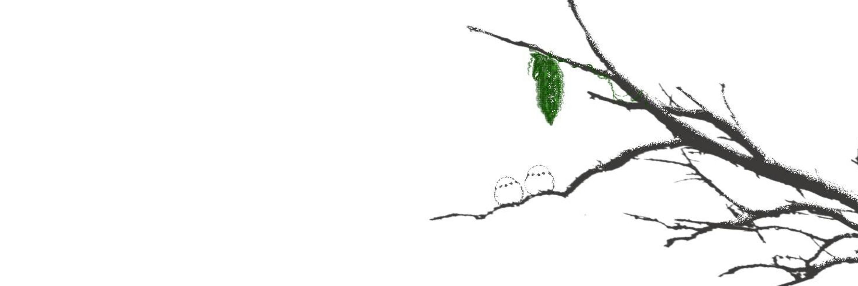 南国野菜