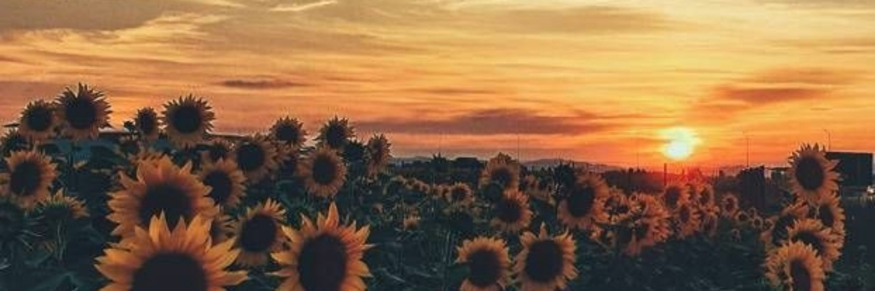 🌻𝓑-𝓛𝓸𝓸𝓷🎈