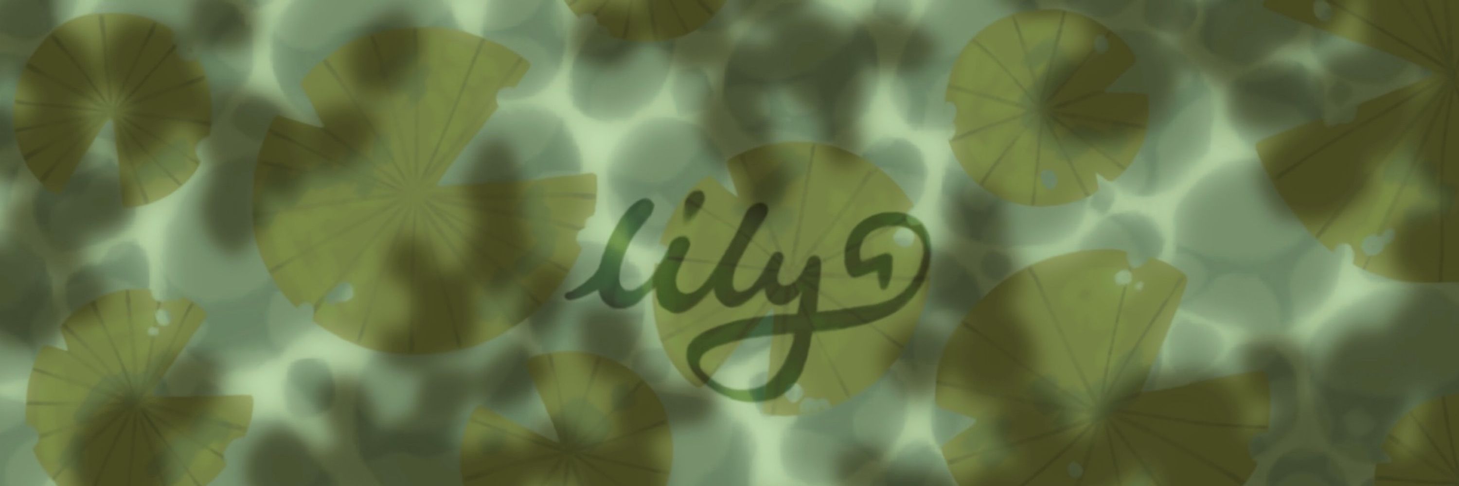 Lily🪷