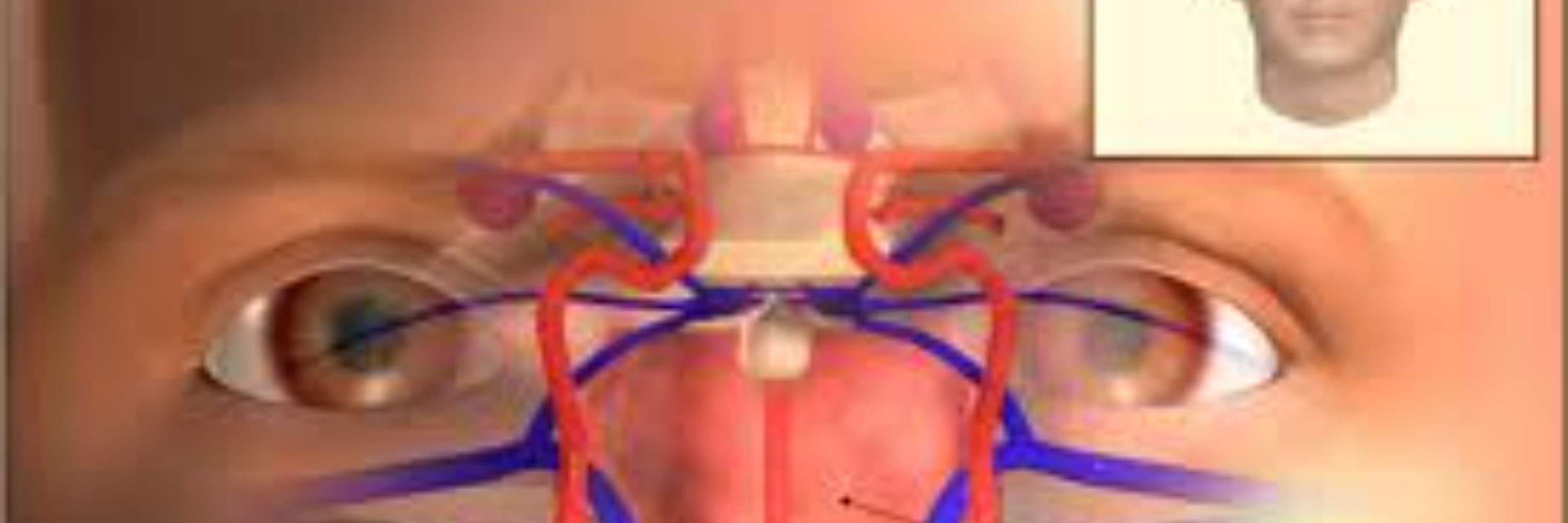 wonderinguterus