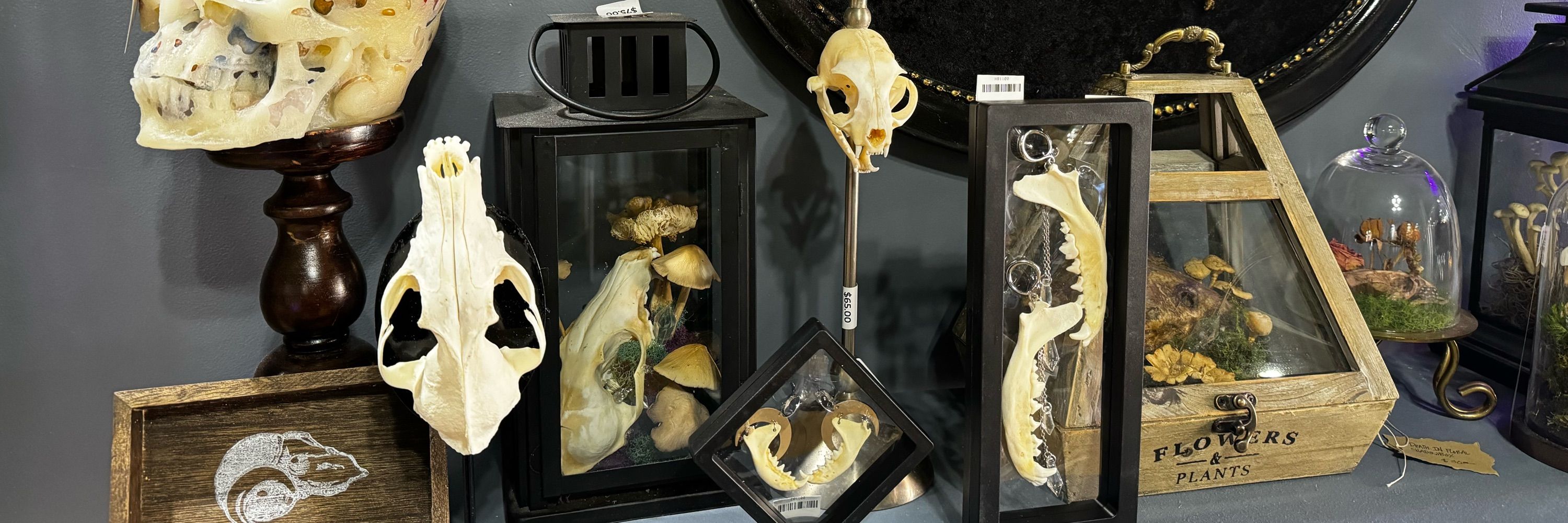 Twisted Things Art & Oddities