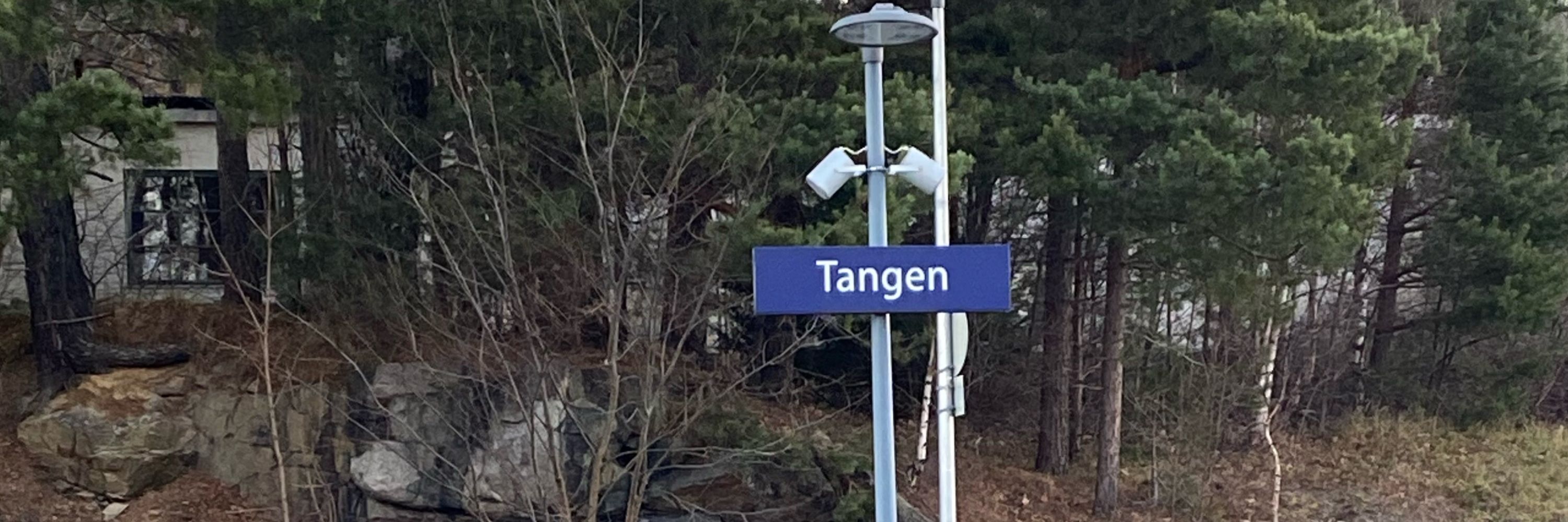 Amund Heggelund