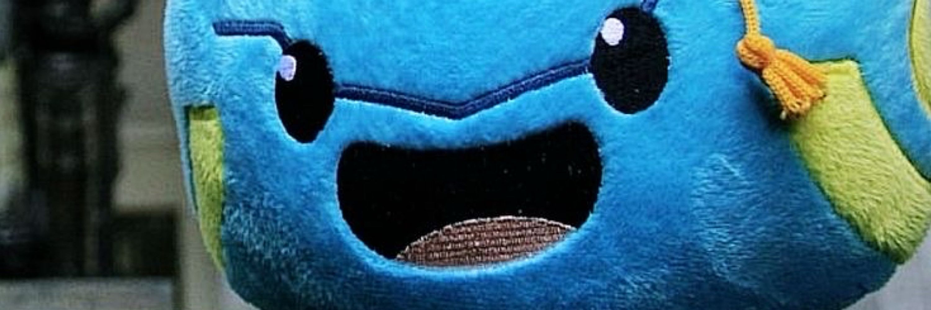 kaito