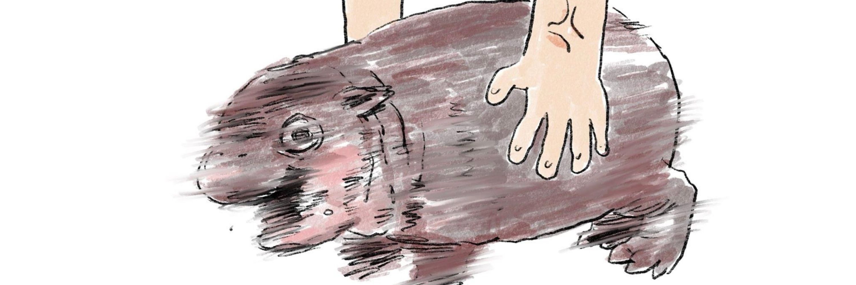The Opossum Queen