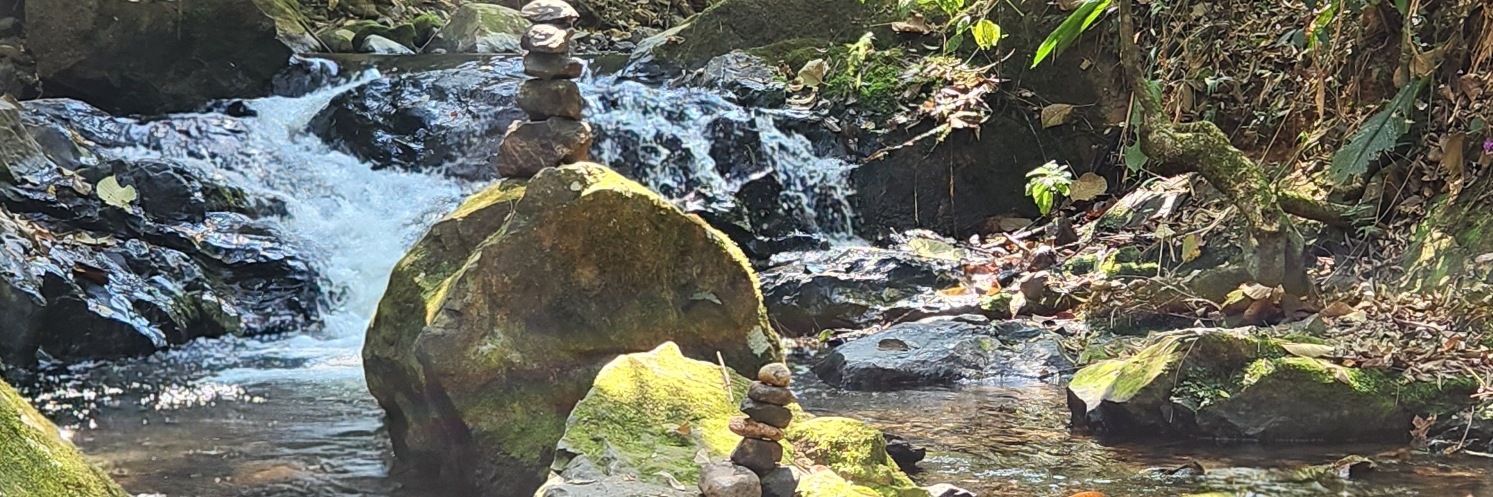 ✨️divudinha✨️
