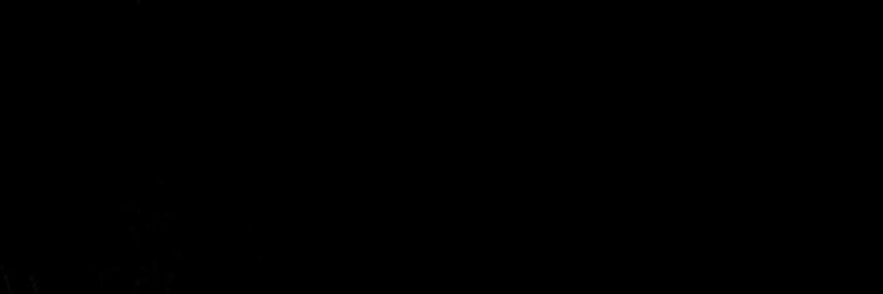 luhhsilva_