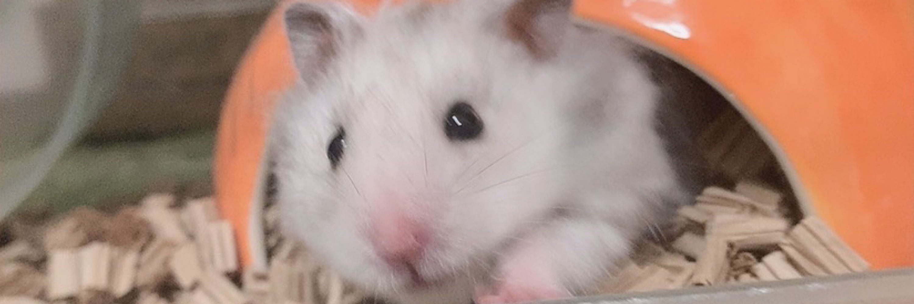 すぅ