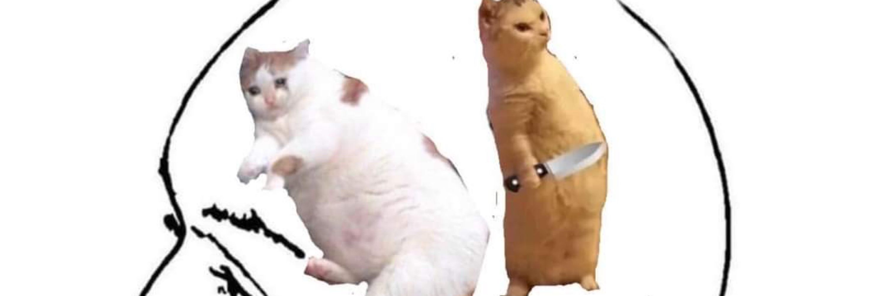Unfunnycam