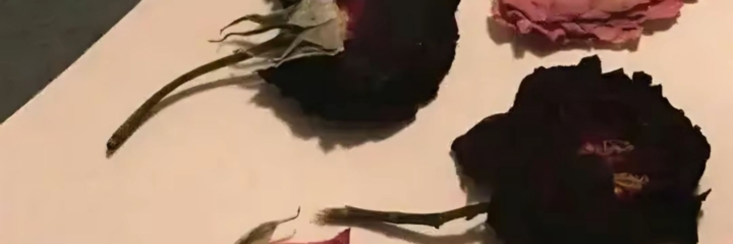 من تشا  ❤️