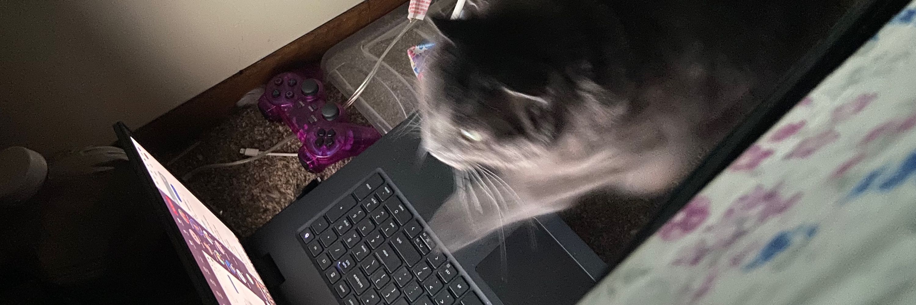StonedFurby