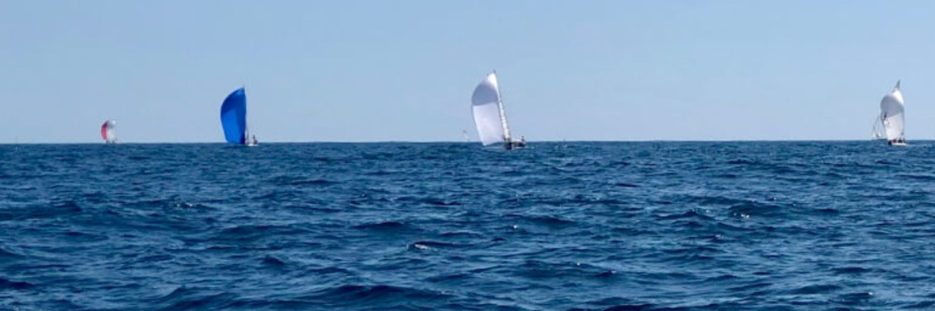 Federico Gaggio