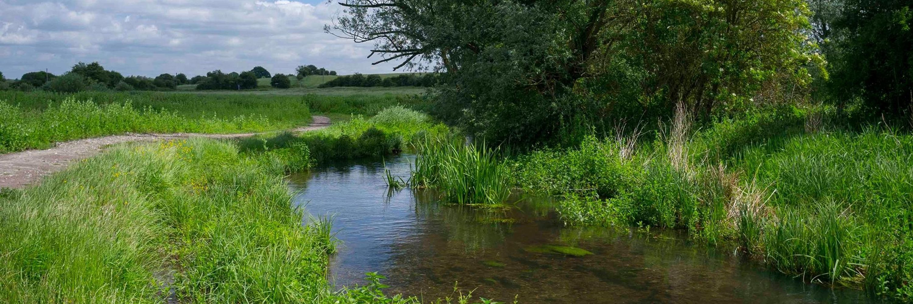 Water Management Alliance