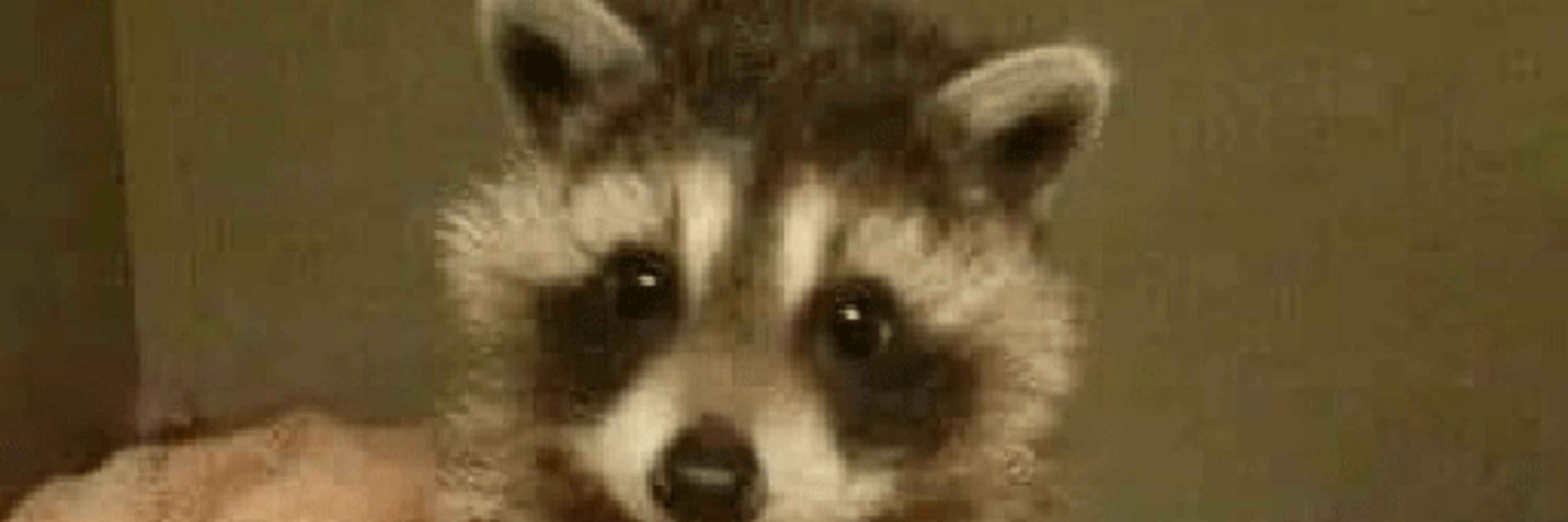 Bea