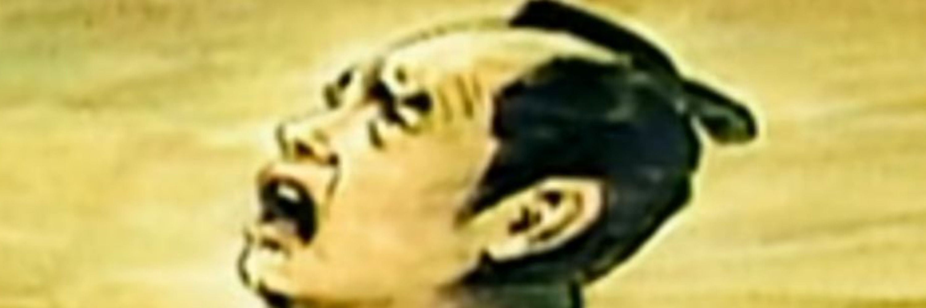 ツルハ