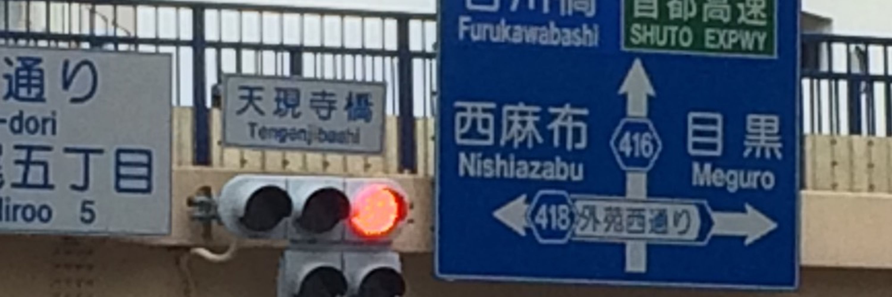 もぎの