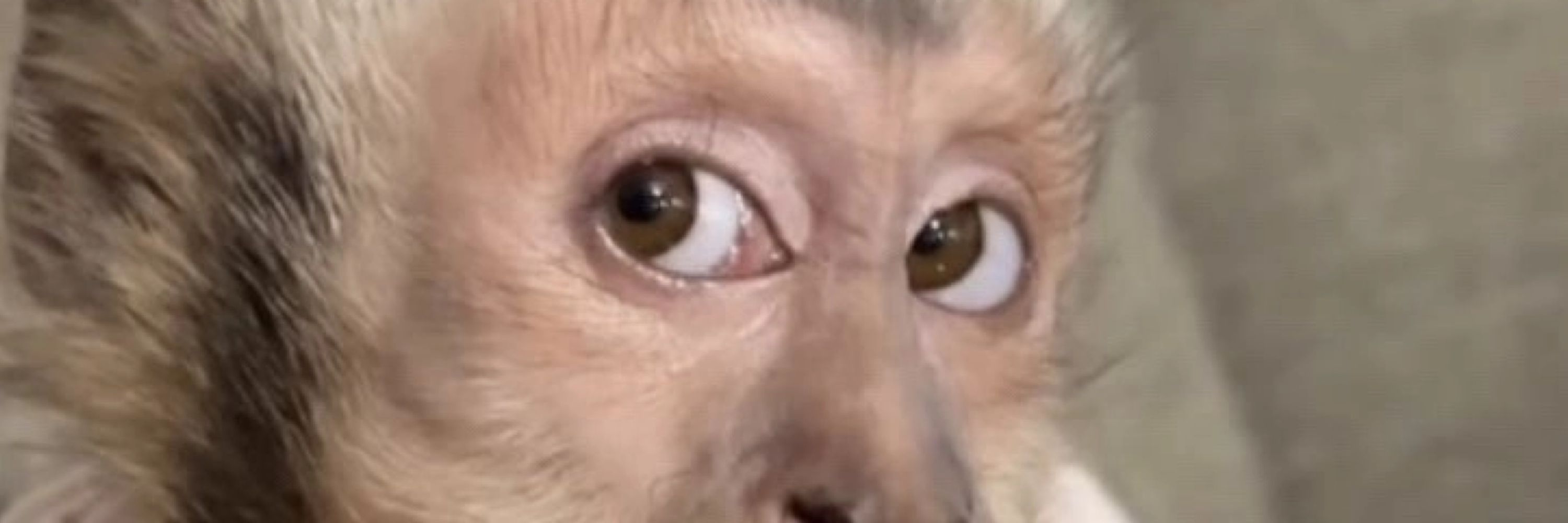 nathclls 