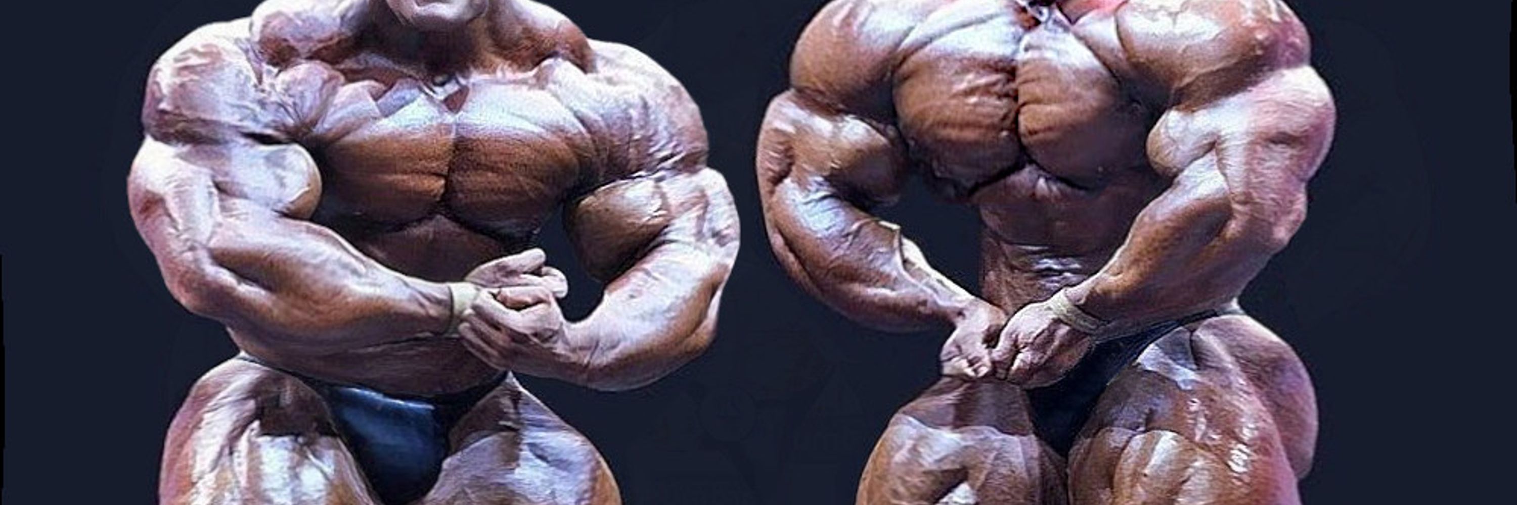 Rene1morphs