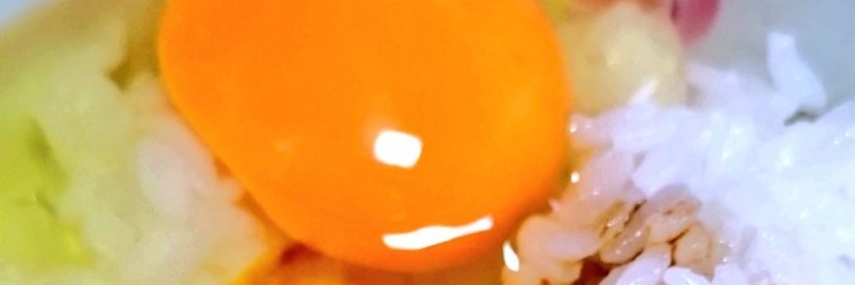 錦なずな