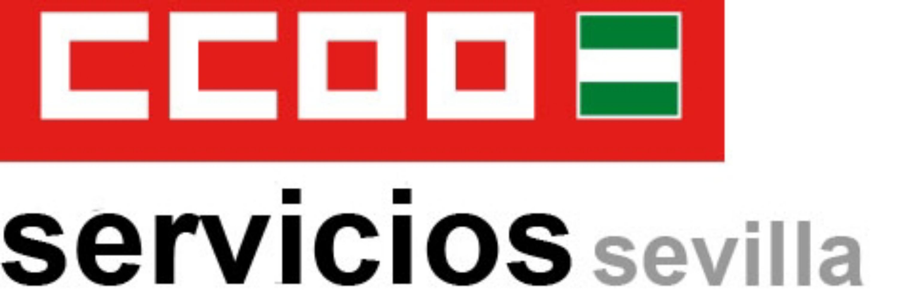CCOO Servicios Sevilla
