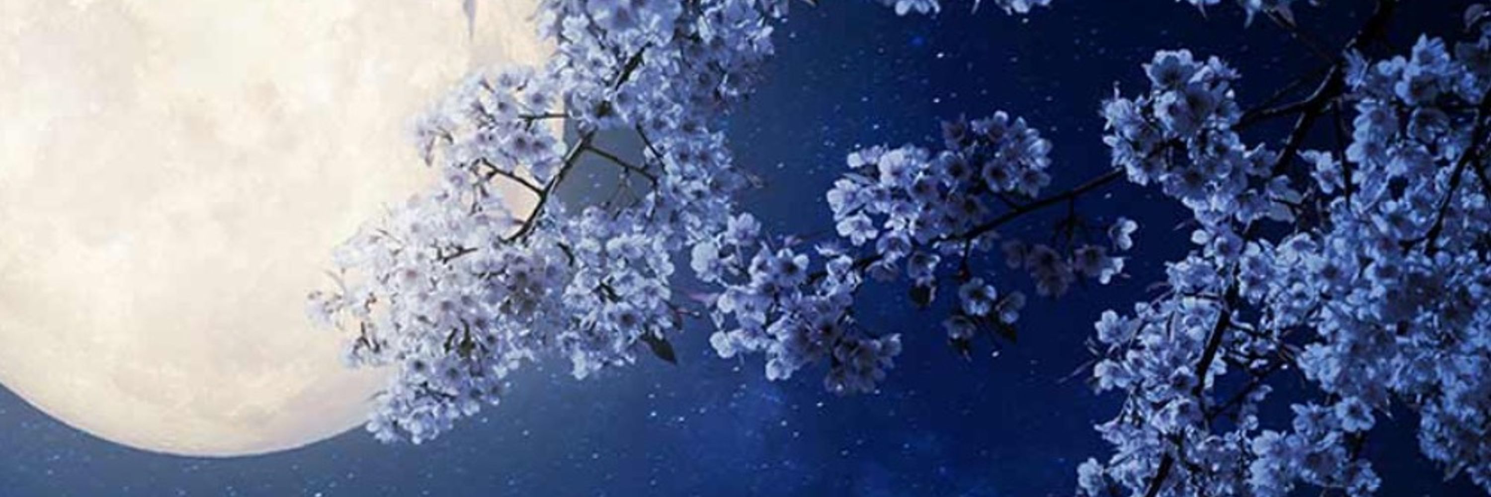 Lunar Flame