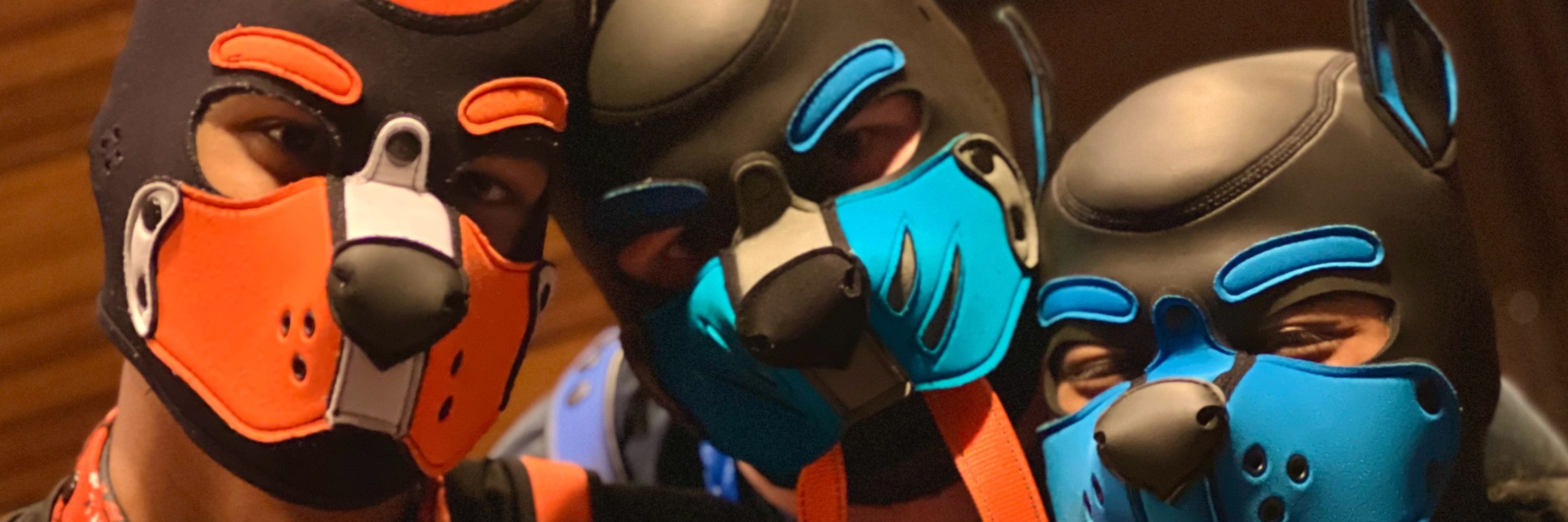 Drice Wolf