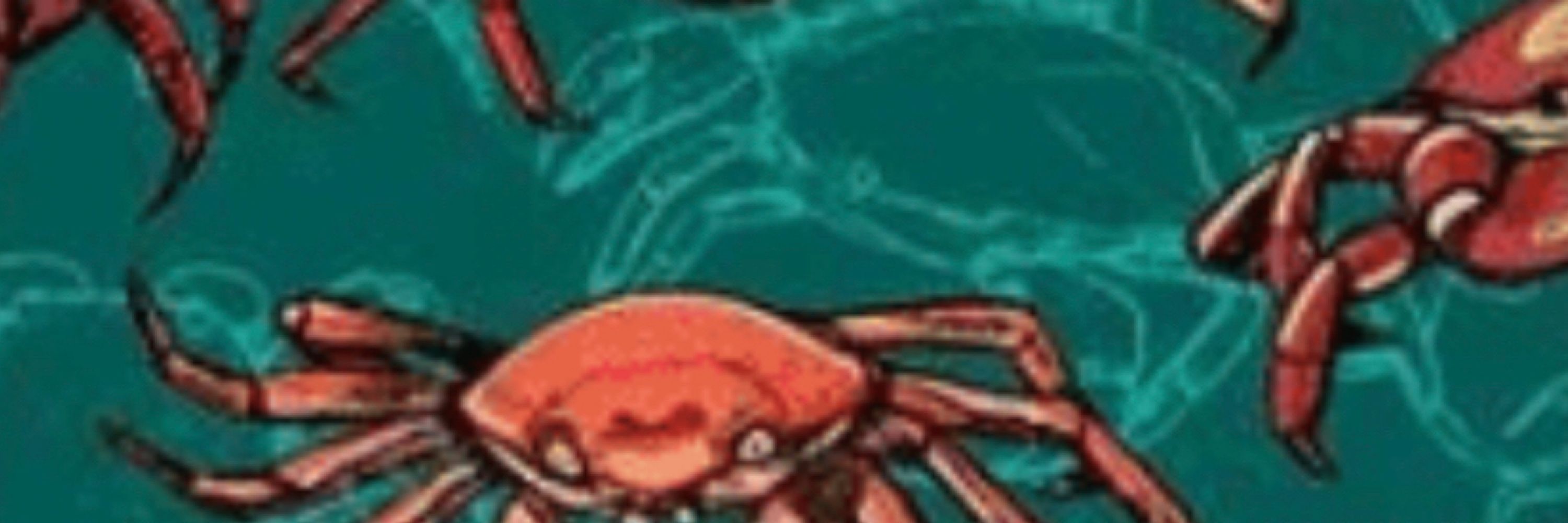 KING CRAB
