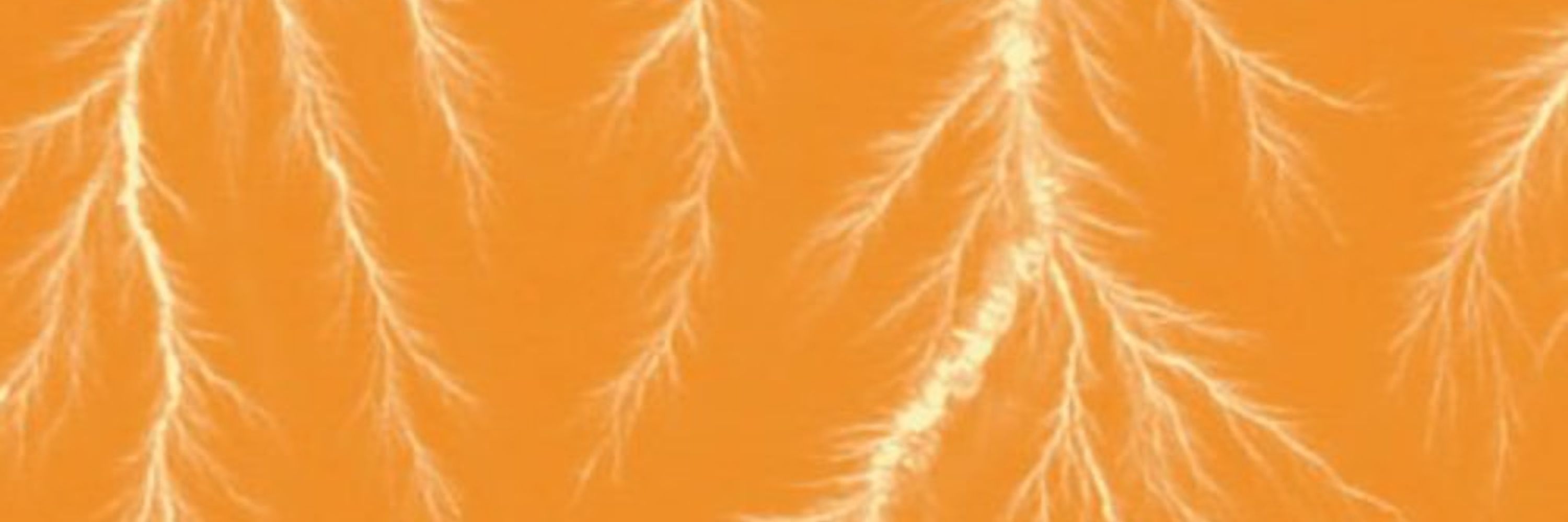 Historical Studies in the Natural Sciences
