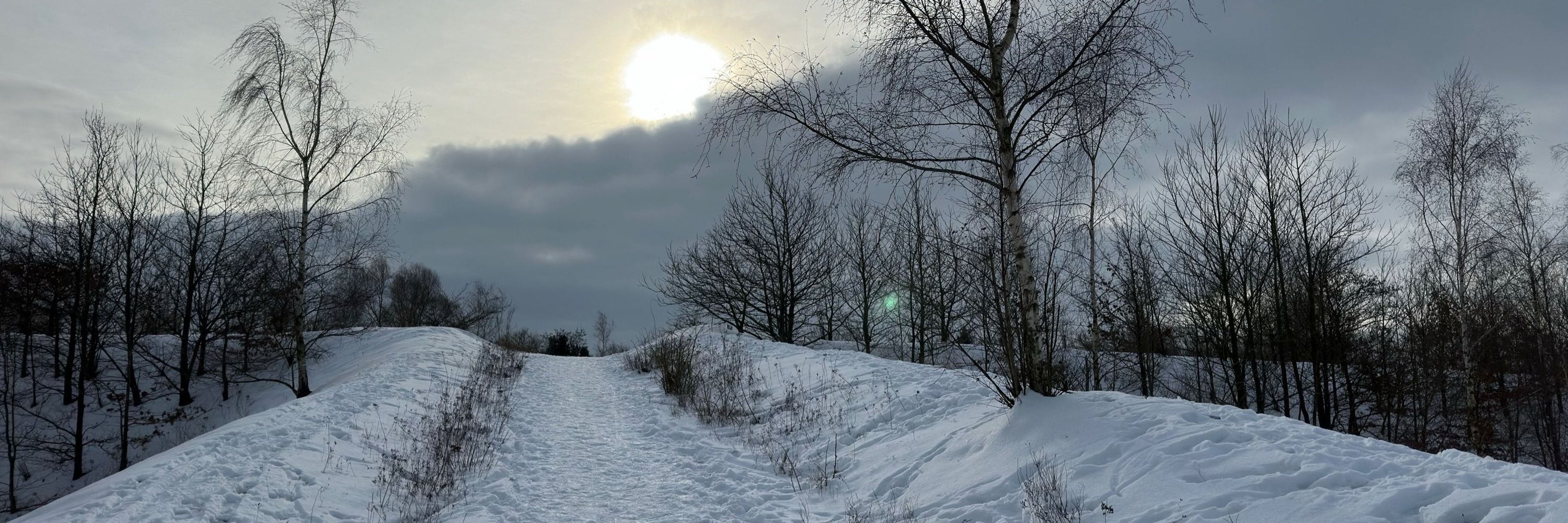 Fabrice Gambier