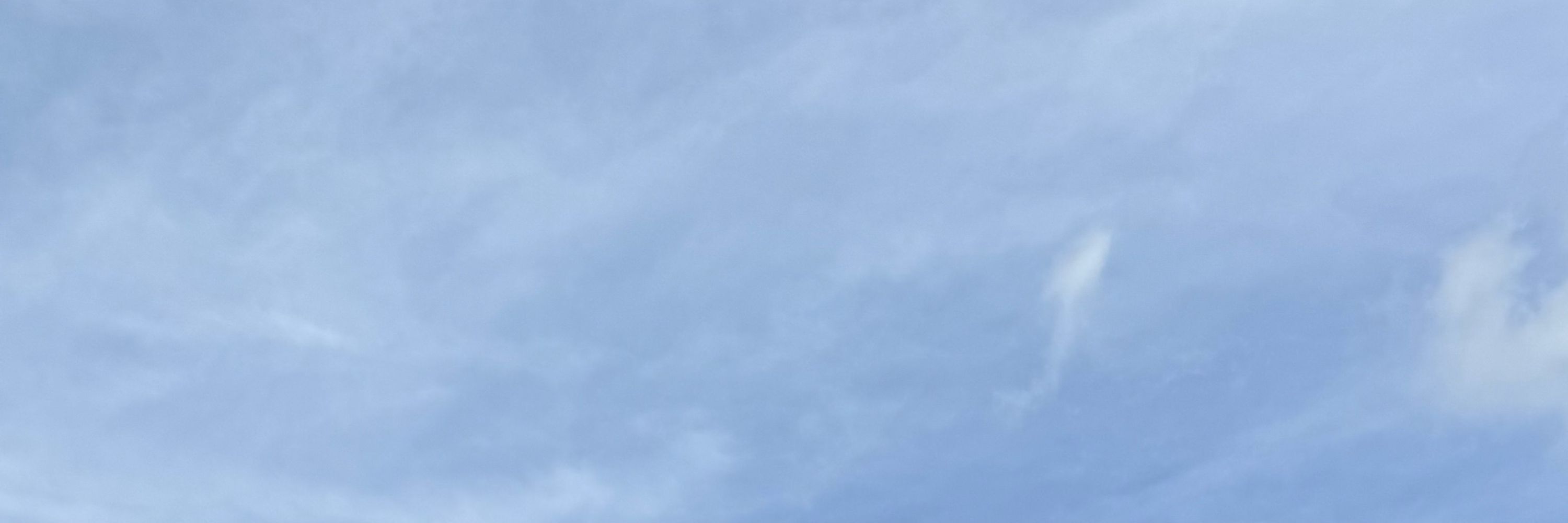 Paulo, no Bluesky? 