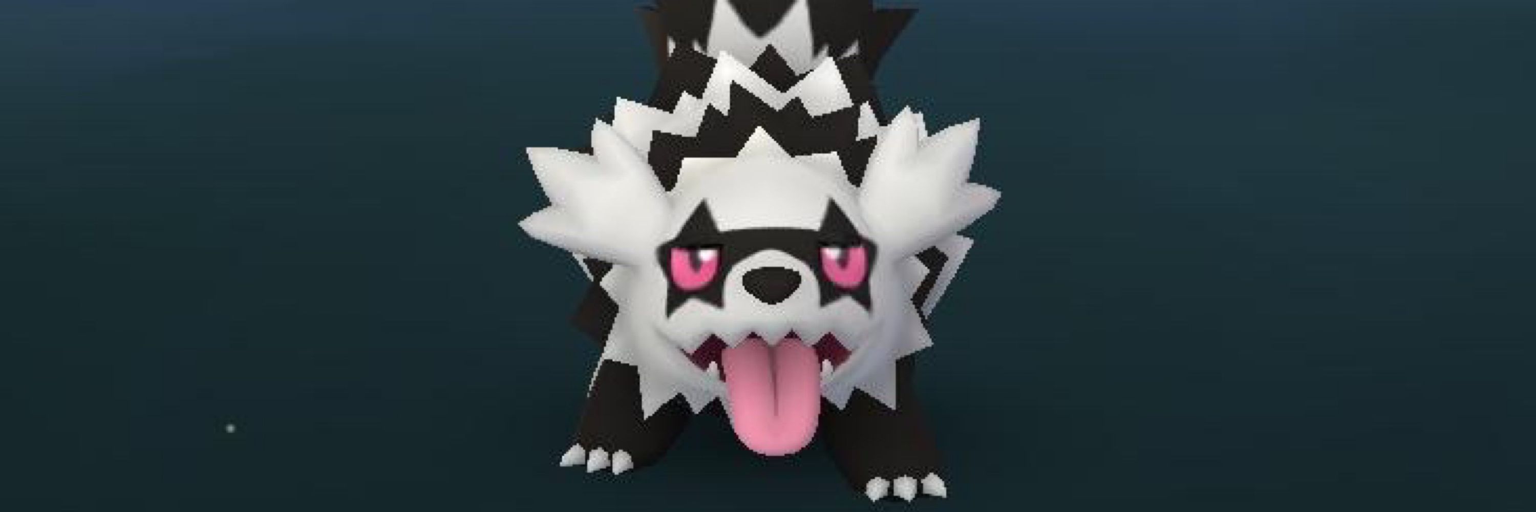 새싹
