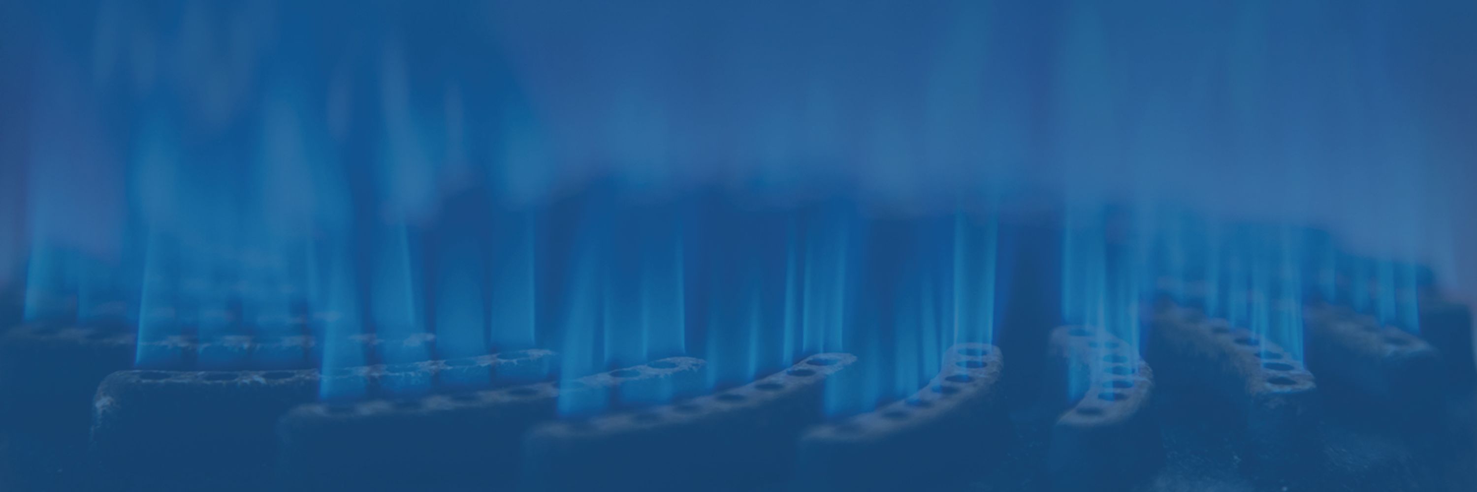 Utility Action Alliance