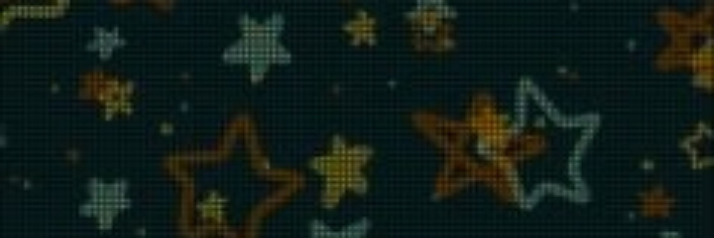 killbee