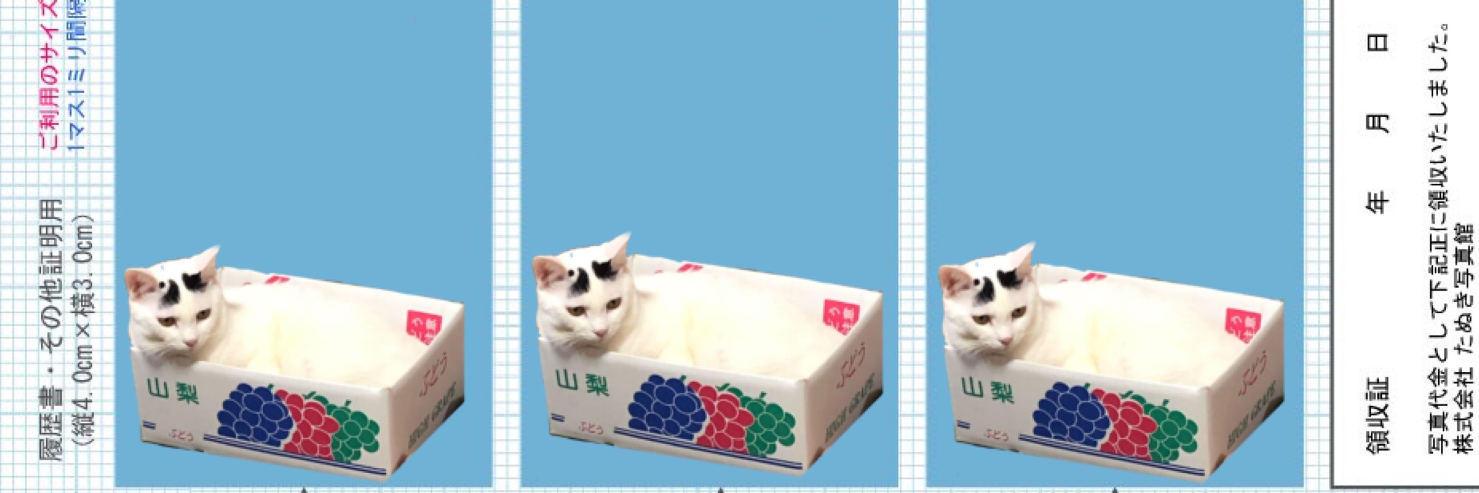 ぶん