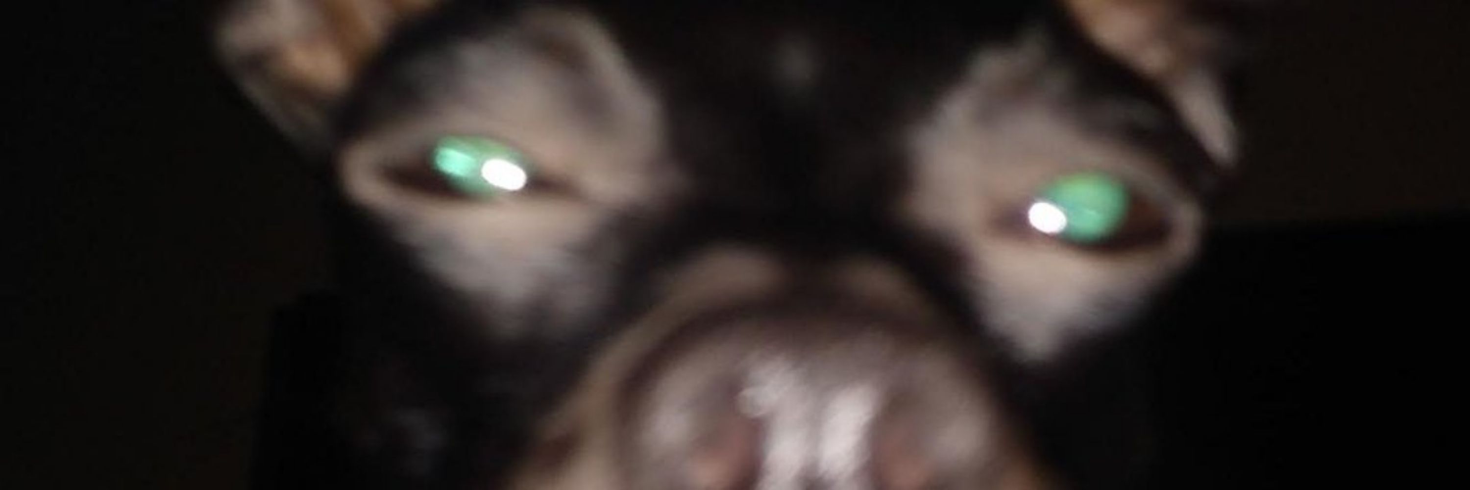 Under