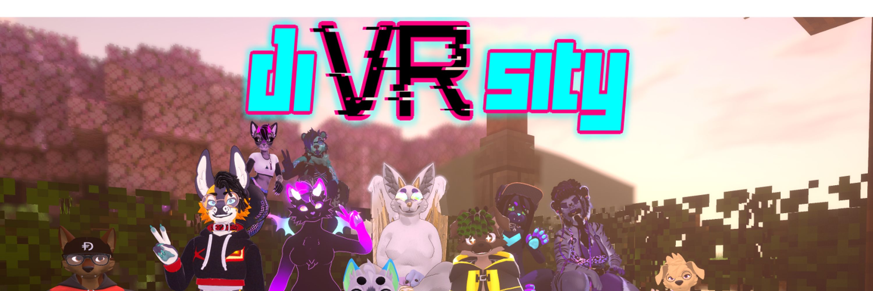 diVRsity Official