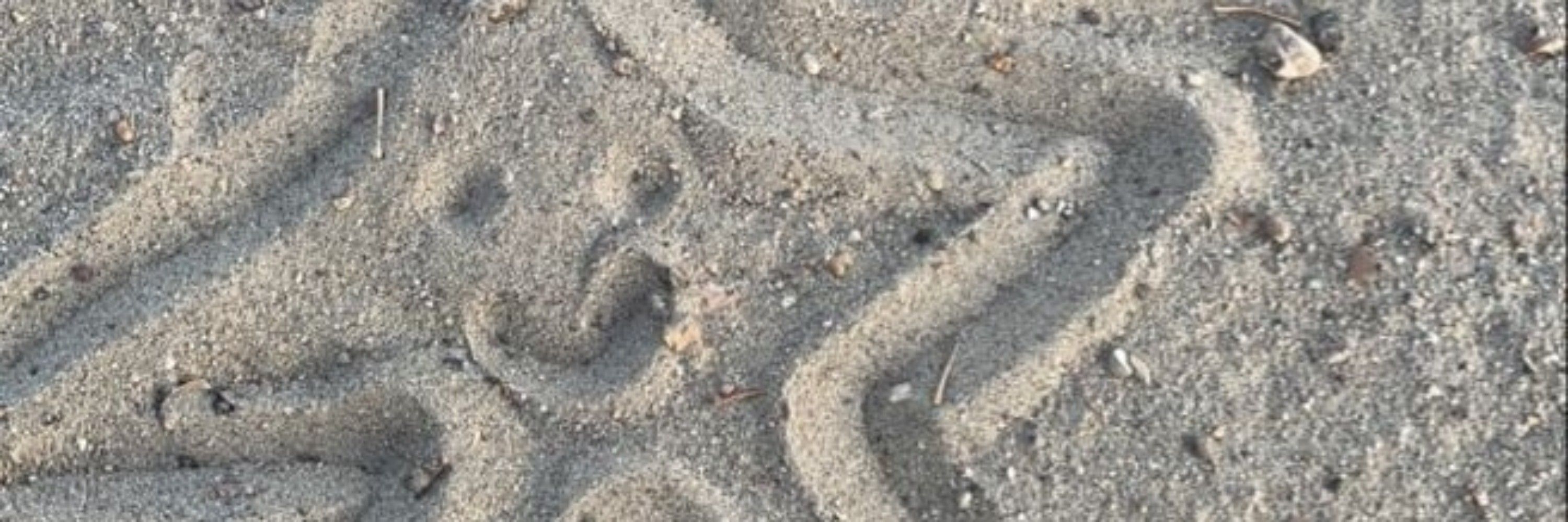 Sa