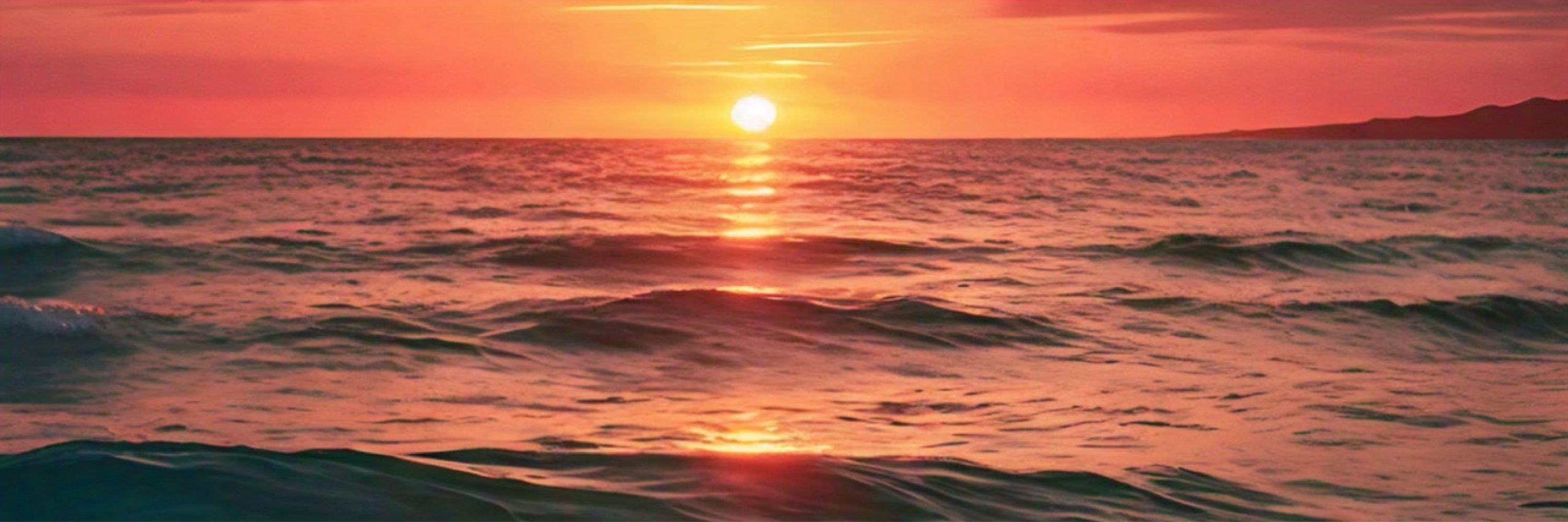 🌅✨VioletJil✨🌅