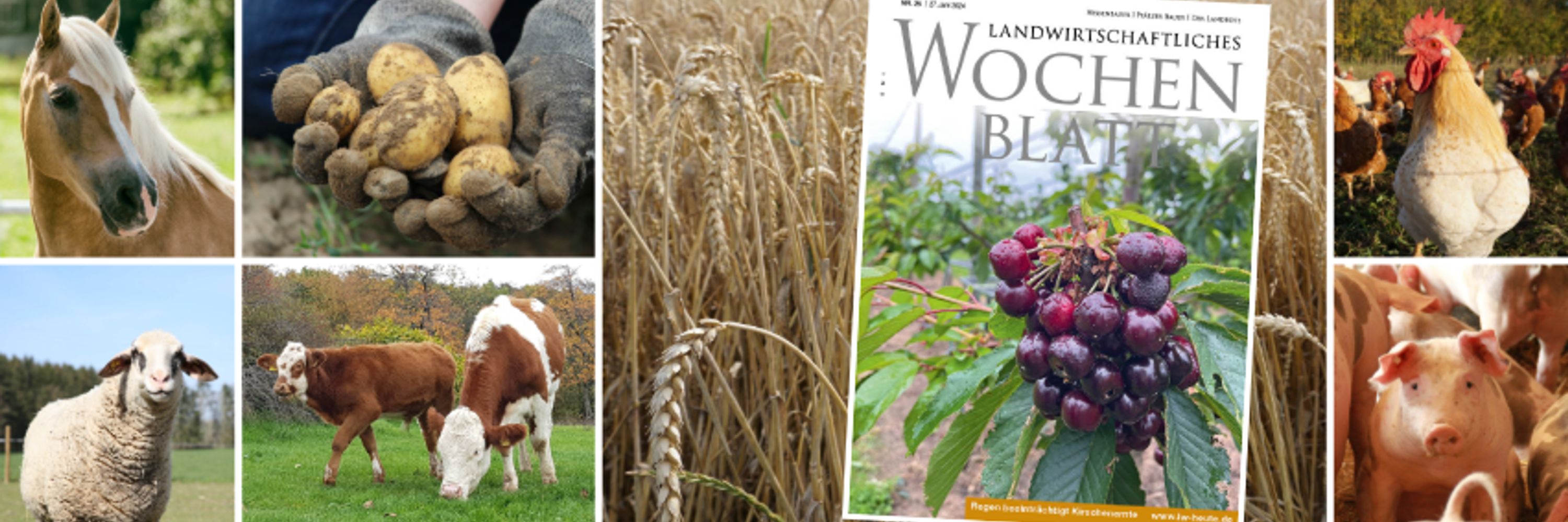 Landwirtschaftliches Wochenblatt