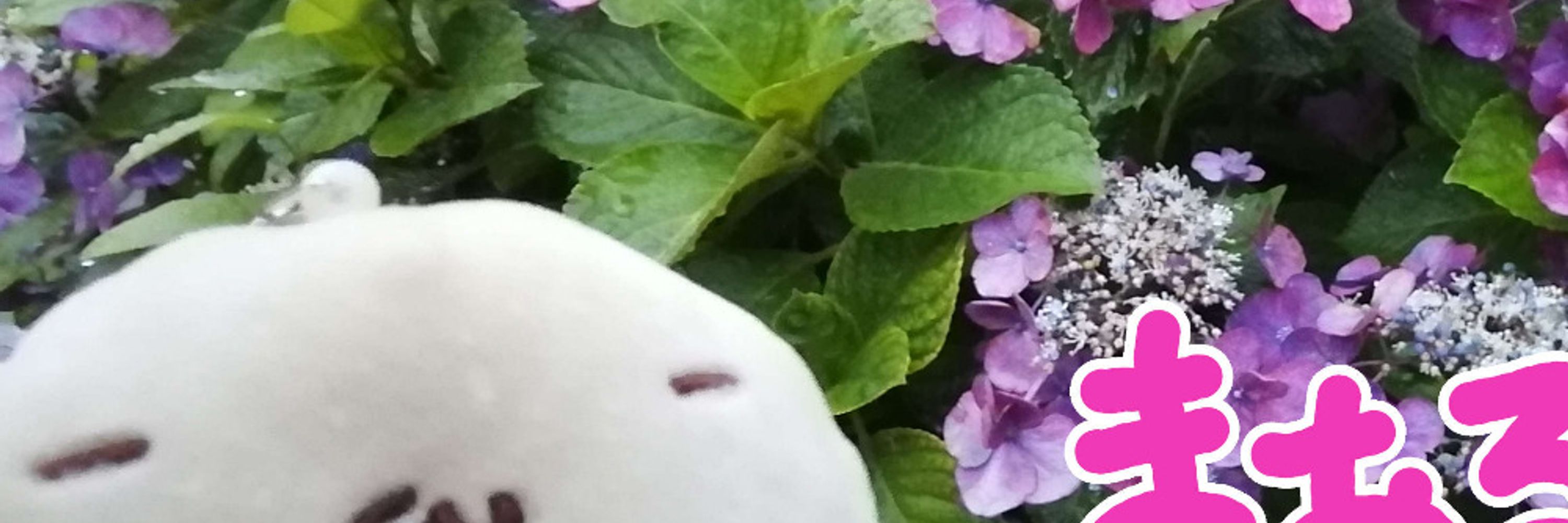 よんちょうめ