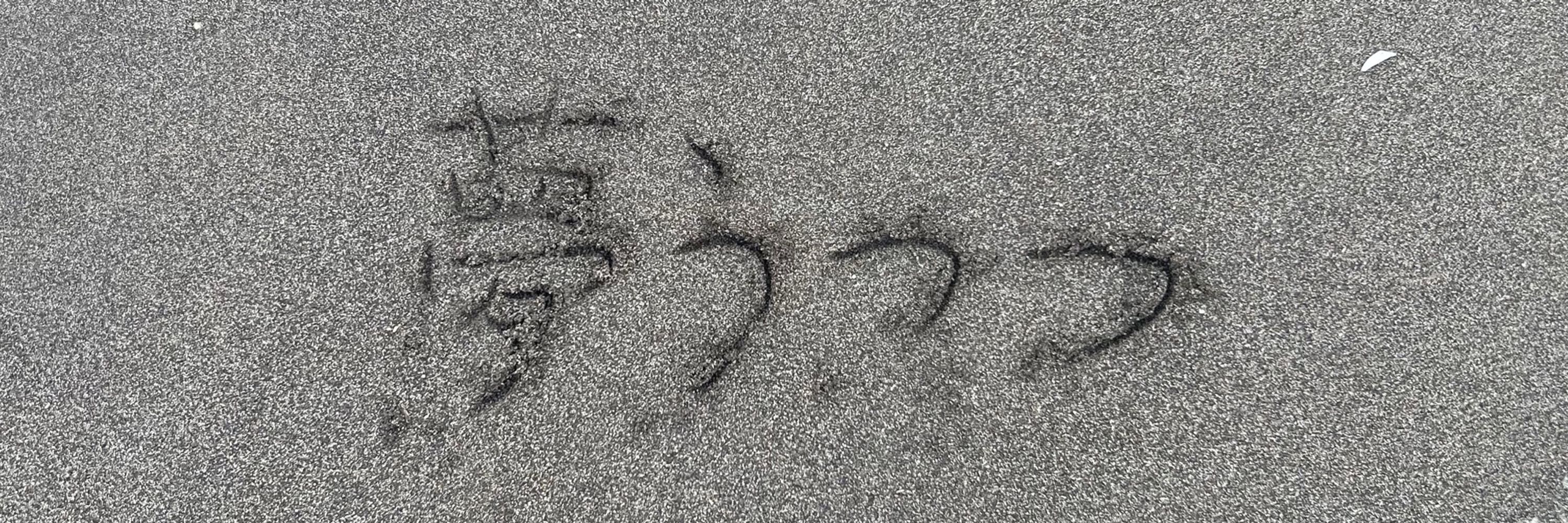 鉄本宗史