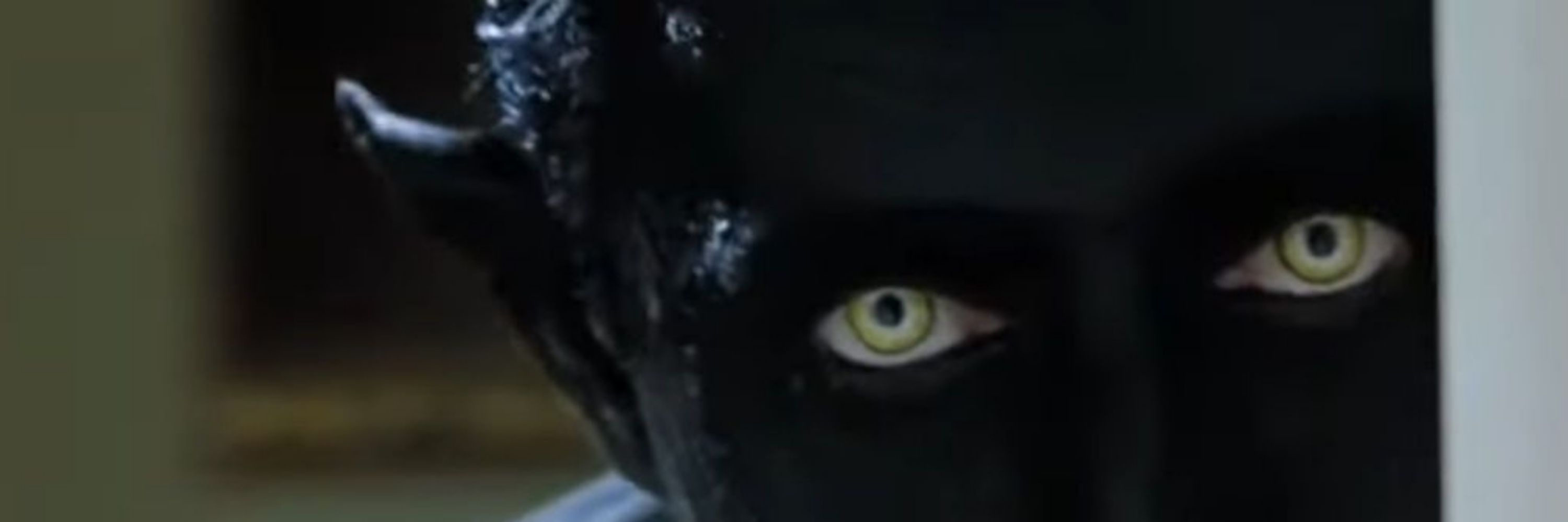 Kane