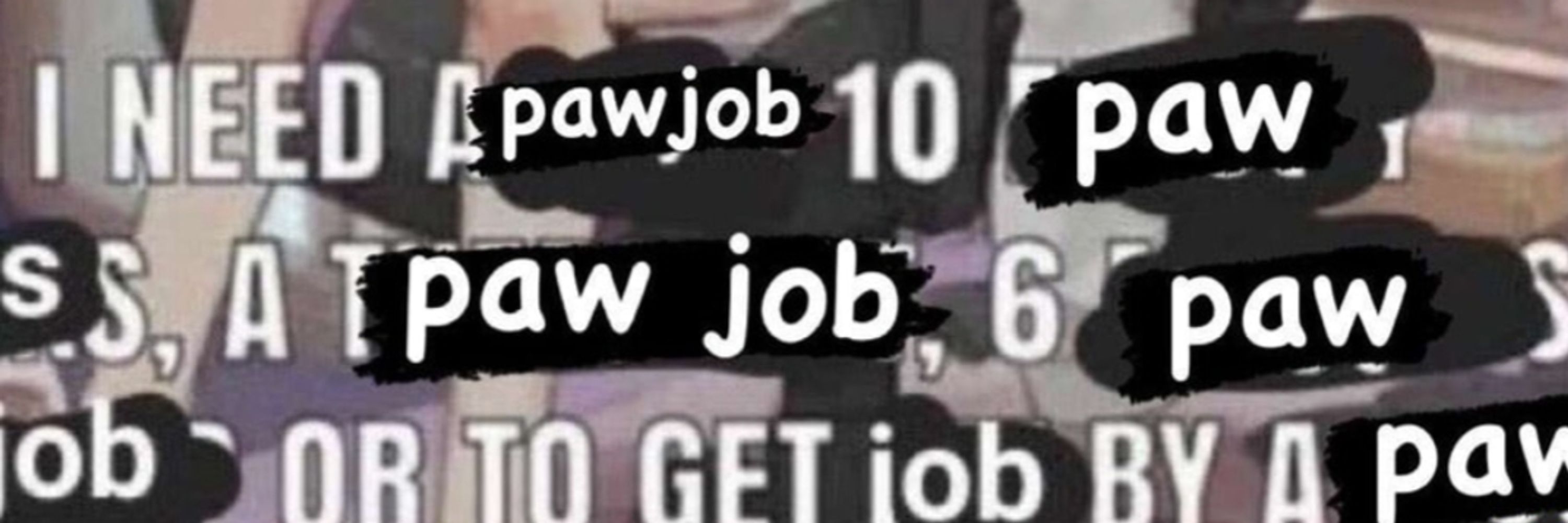 Asylewd
